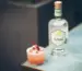 10 Delicious Ideas What To Mix Gin For Perfect Cocktails